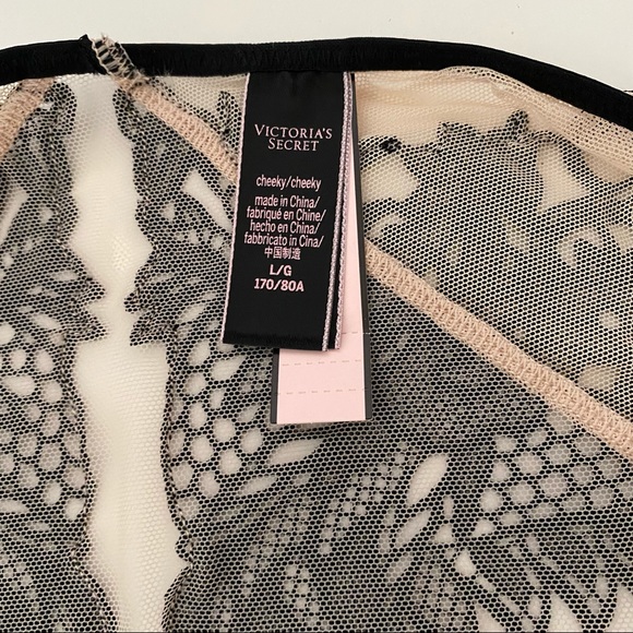 NWT Victoria's Secret Dragon Appliqué Panty - Picture 7 of 8